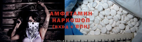 дмт Богданович