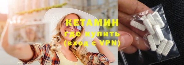 дмт Богданович