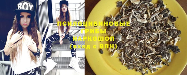 дмт Богданович