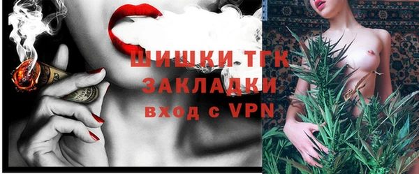 дмт Богданович