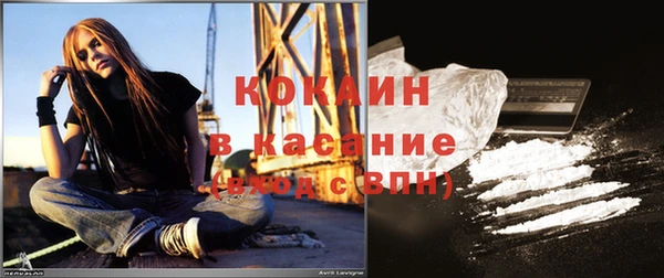дмт Богданович