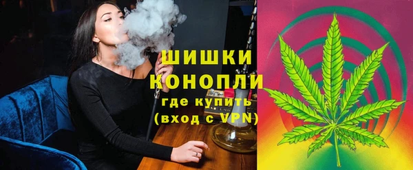 дмт Богданович