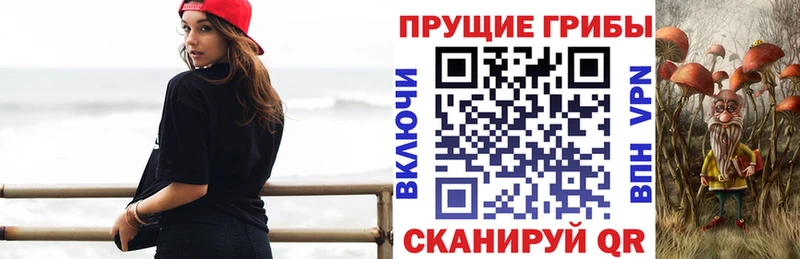 Галлюциногенные грибы ЛСД  MEGA онион  Нелидово 