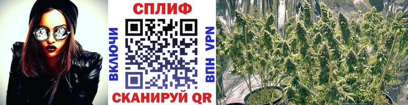 купить   Нелидово  Бошки марихуана White Widow 